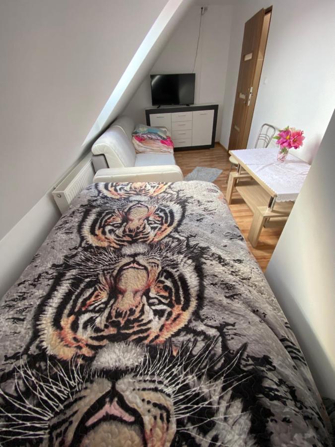 Pokoje I Apartamenty Aga Centrum Wisła Kültér fotó